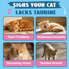 Administering Brightbarki taurine drops directly to a cat using the dropper