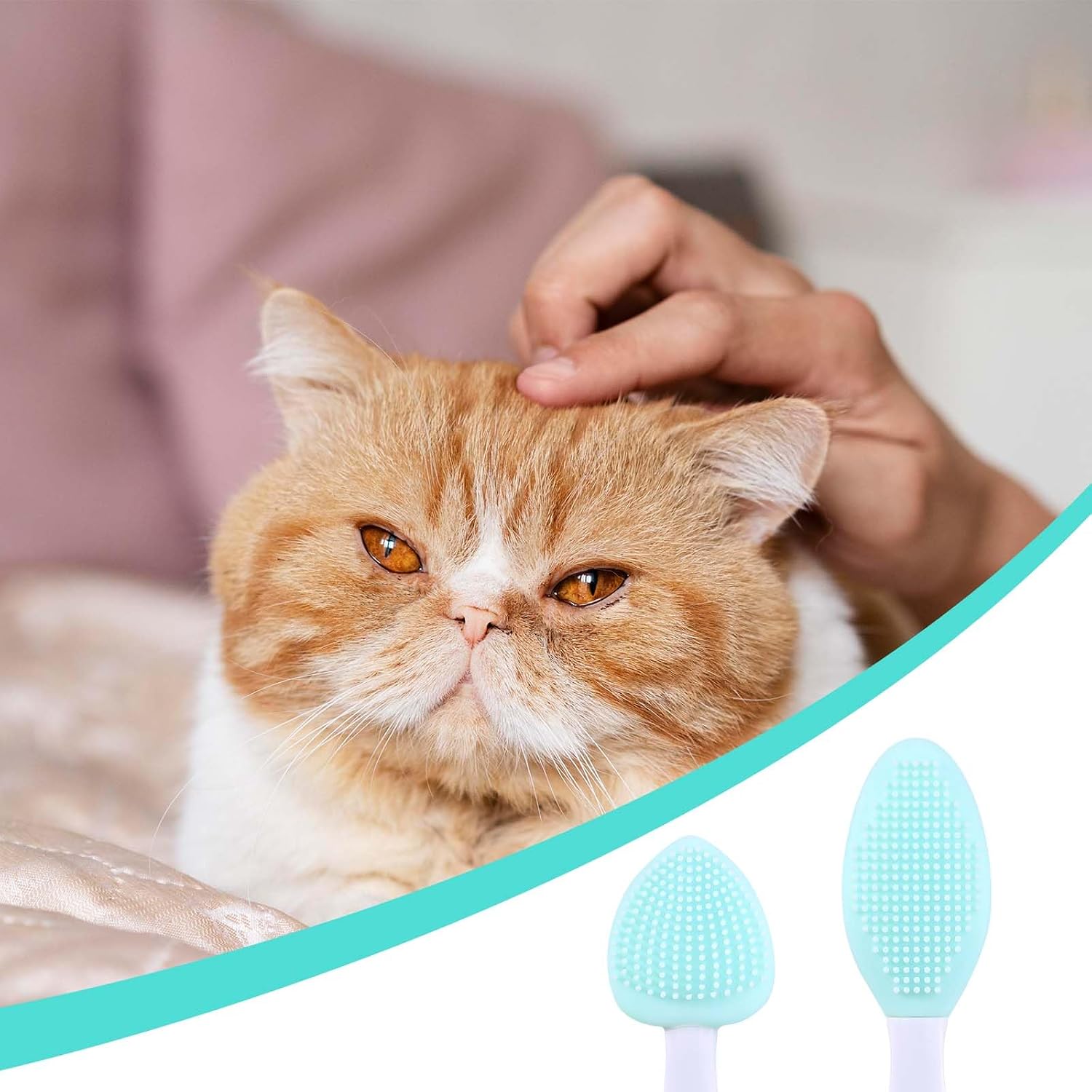 JJUNW silicone pet brush being used for gentle chin exfoliation and black seed cleaning on a cat
