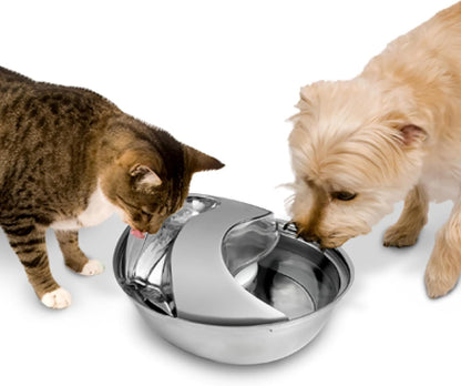 Cat drinking from Pioneer Pet stainless steel fountain