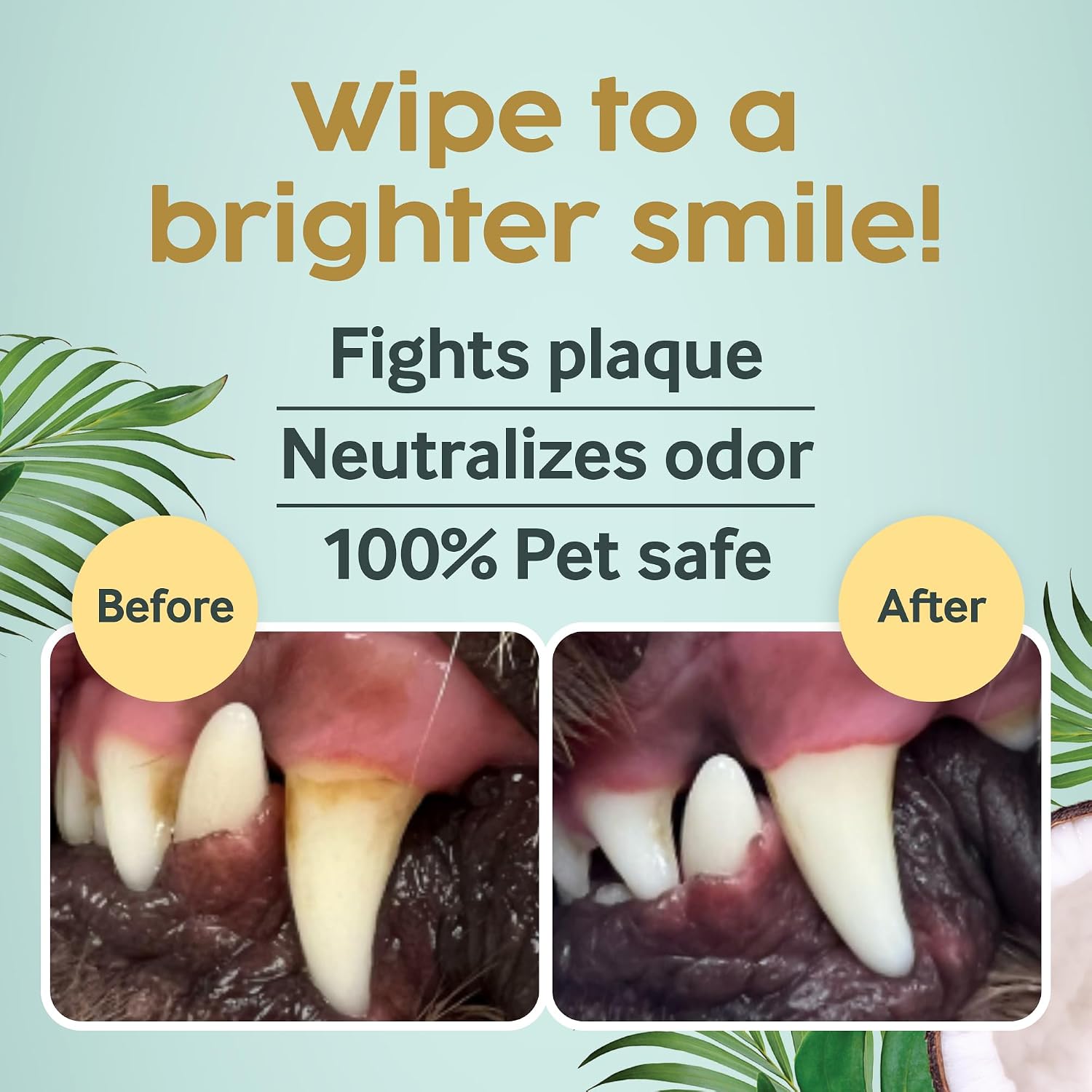 Textured pet finger sleeve wipe close up for plaque and tartar removal