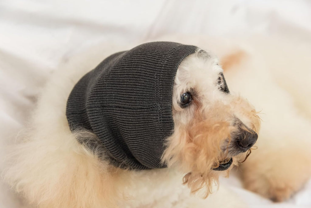 Cat Hematoma Ear Wrap, Pinpoint Mesh Anxiety Relief, Cat Bath Accessories for pet Grooming & Force Drying (Grey S) - Image 10
