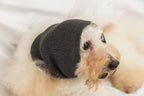Cat Hematoma Ear Wrap, Pinpoint Mesh Anxiety Relief, Cat Bath Accessories for pet Grooming & Force Drying (Grey S) - Image 10