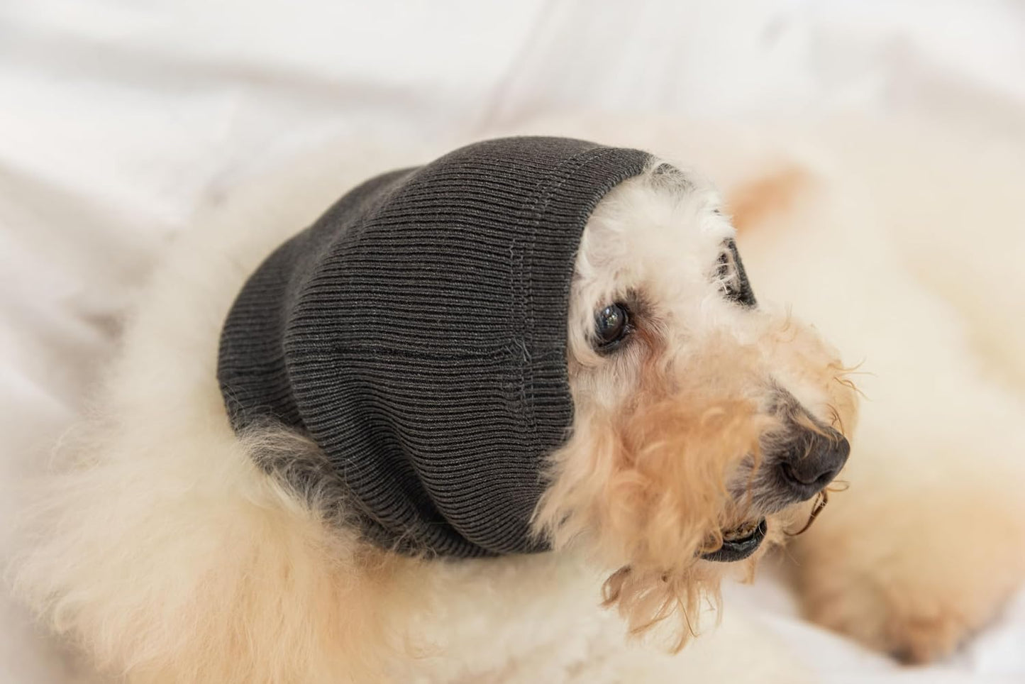 Cat Hematoma Ear Wrap, Pinpoint Mesh Anxiety Relief, Cat Bath Accessories for pet Grooming & Force Drying (Grey S) - Image 10