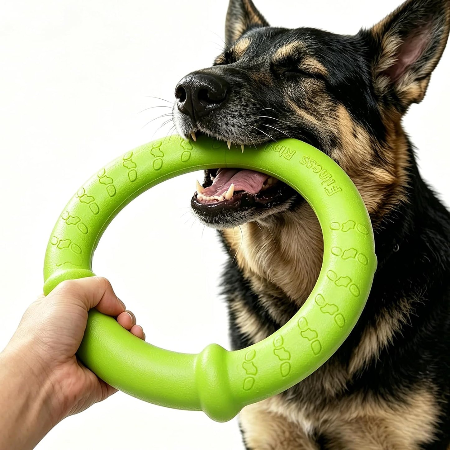 LaRoo Dog Ring Toy, Durable Soft Flying Disc for Throwing Catching Grabbing, Water Floating Dog Training Fetch Ring for Medium Large Breeds, Outdoor (Green/11.8Inch) - Image 15