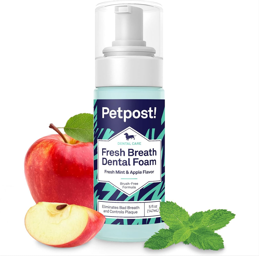 Petpost Fresh Breath Foam for Dogs front view bottle