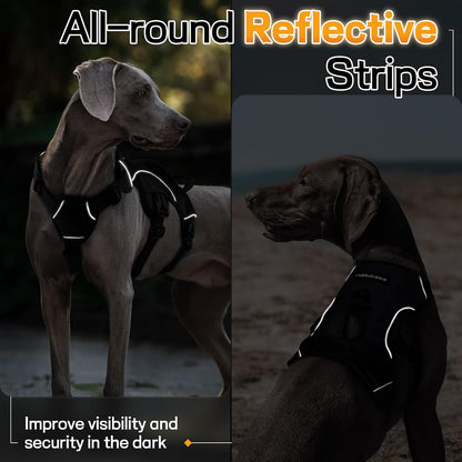 Quick release buckles on rabbitgoo black pet vest