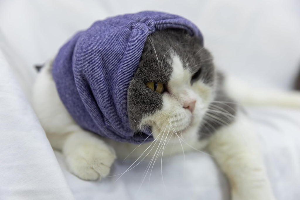 Cat calming head wrap side profile