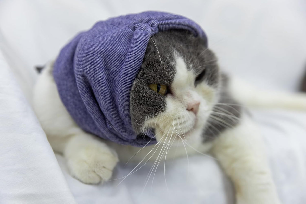 Cat calming head wrap side profile