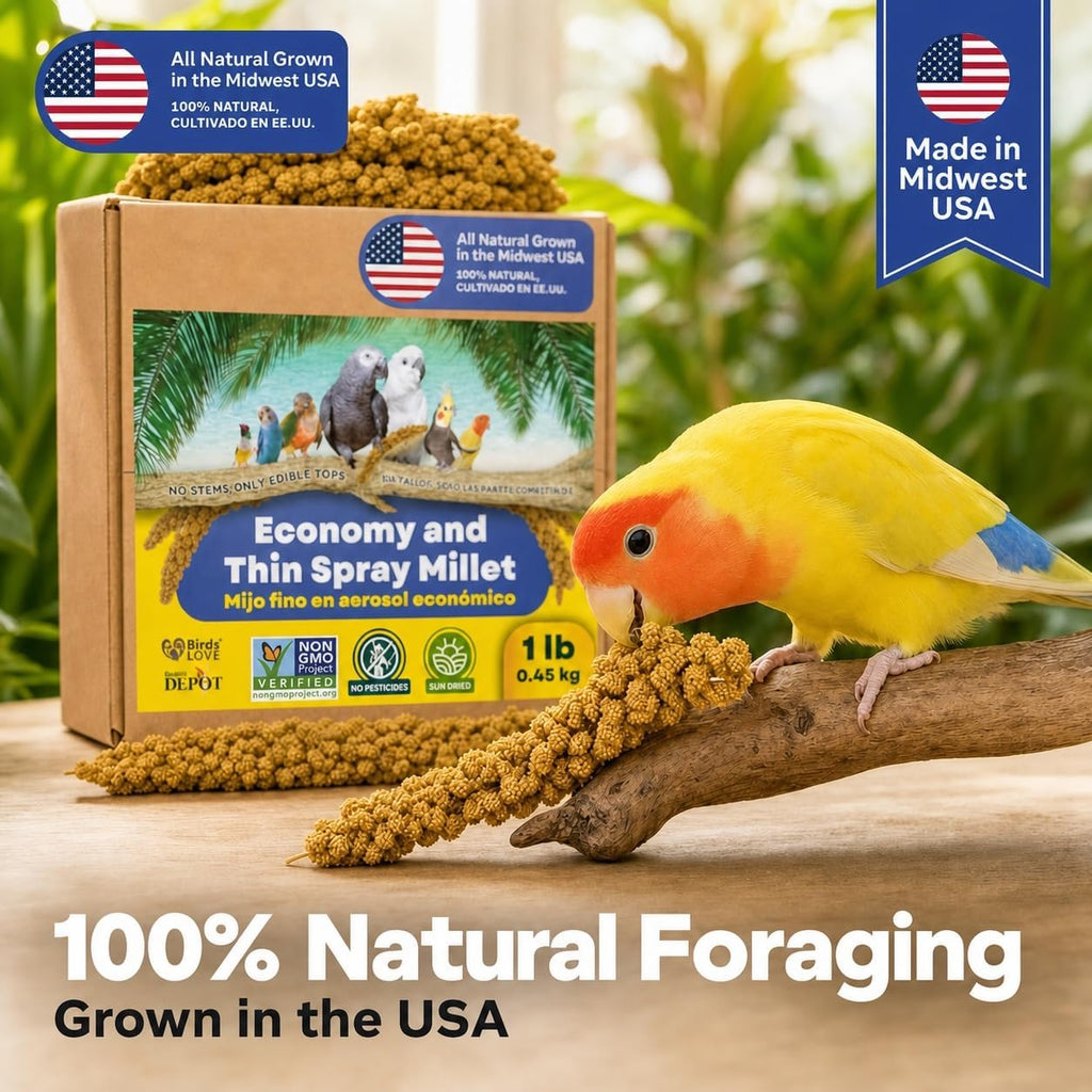 High quality USA sourced bird food product display
