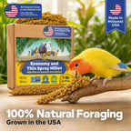 High quality USA sourced bird food product display