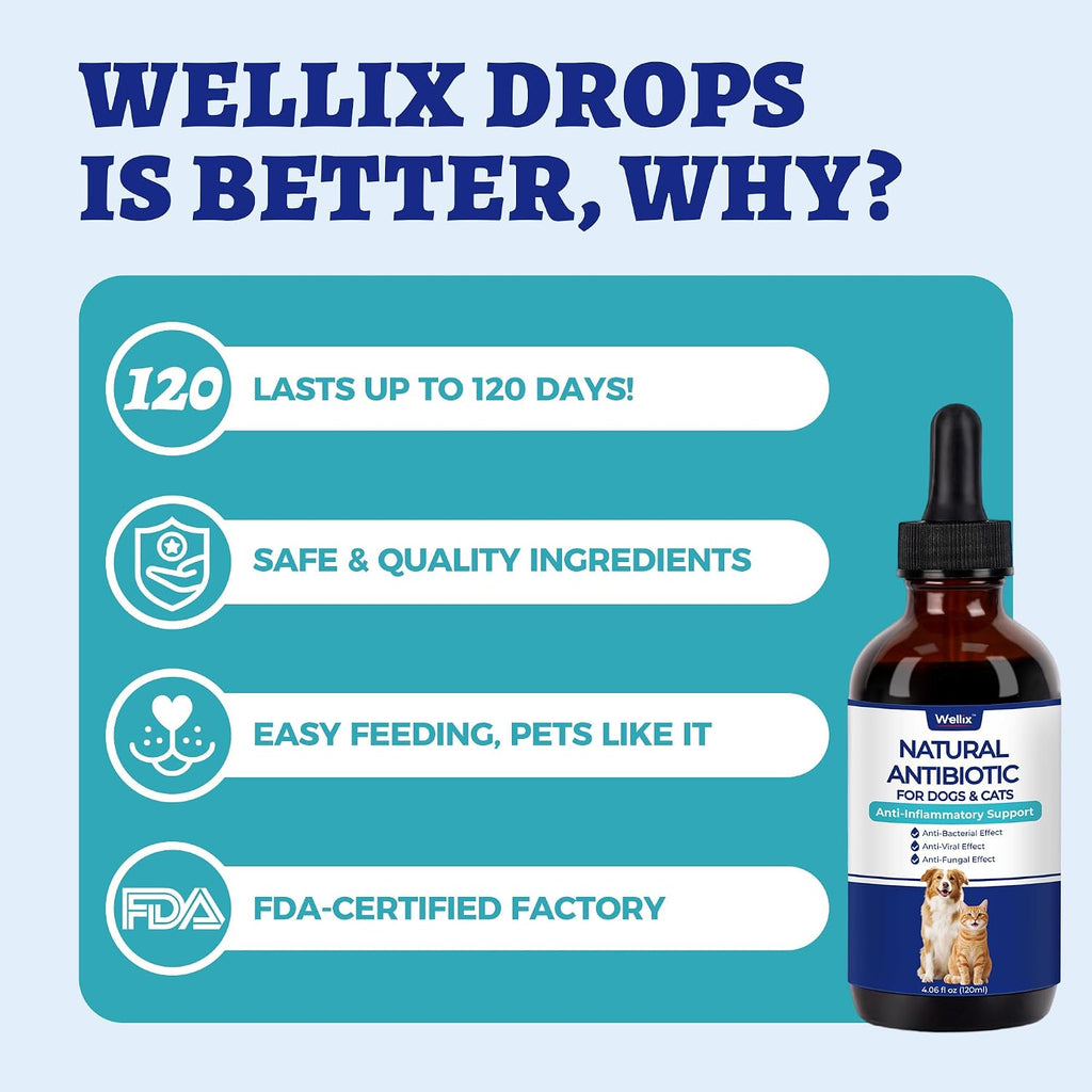 Natural herbal antibiotics for dogs and cats wound care solution