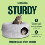 Detachable zipper feature of Cattasaurus cat cave
