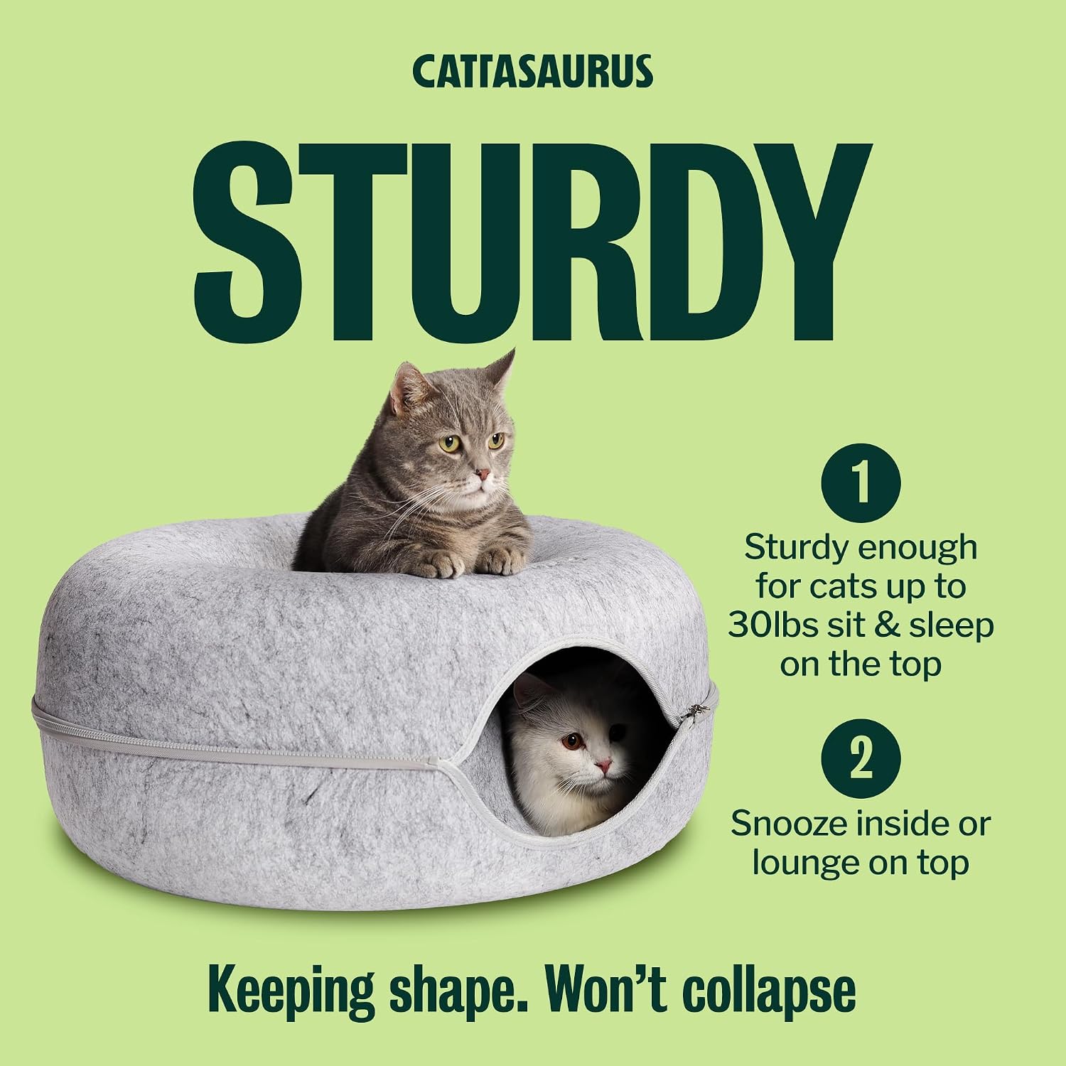 Detachable zipper feature of Cattasaurus cat cave