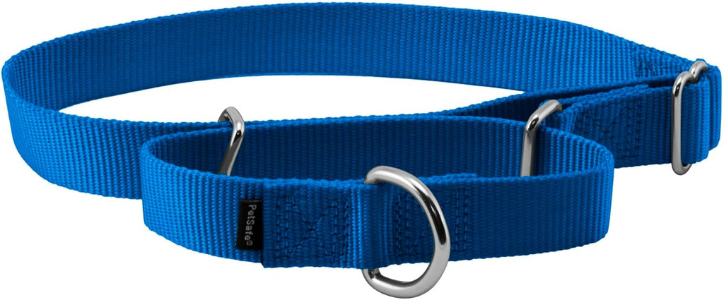 PetSafe Martingale Dog Collar Small, 3/4 Inch, Royal Blue - Image 14
