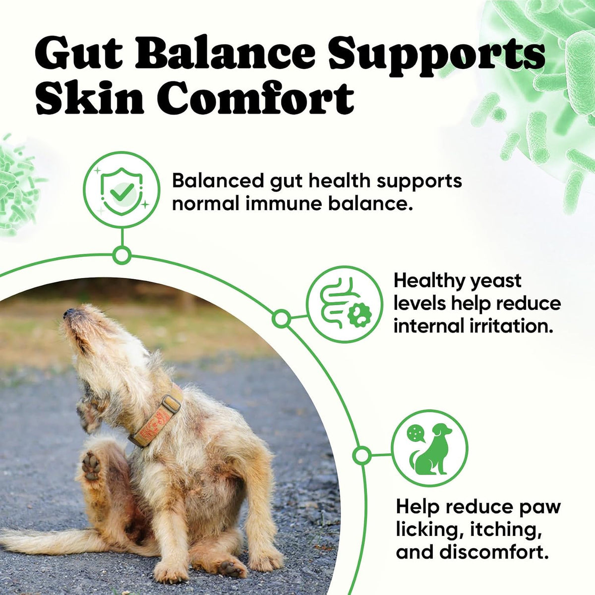 BuddyCheer advanced pet gut health chews with prebiotics