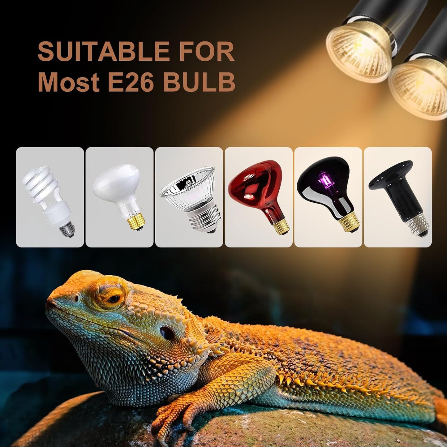 Lachesan turtle heat lamp bulbs pack setup inside a standard ceramic dome fixture.