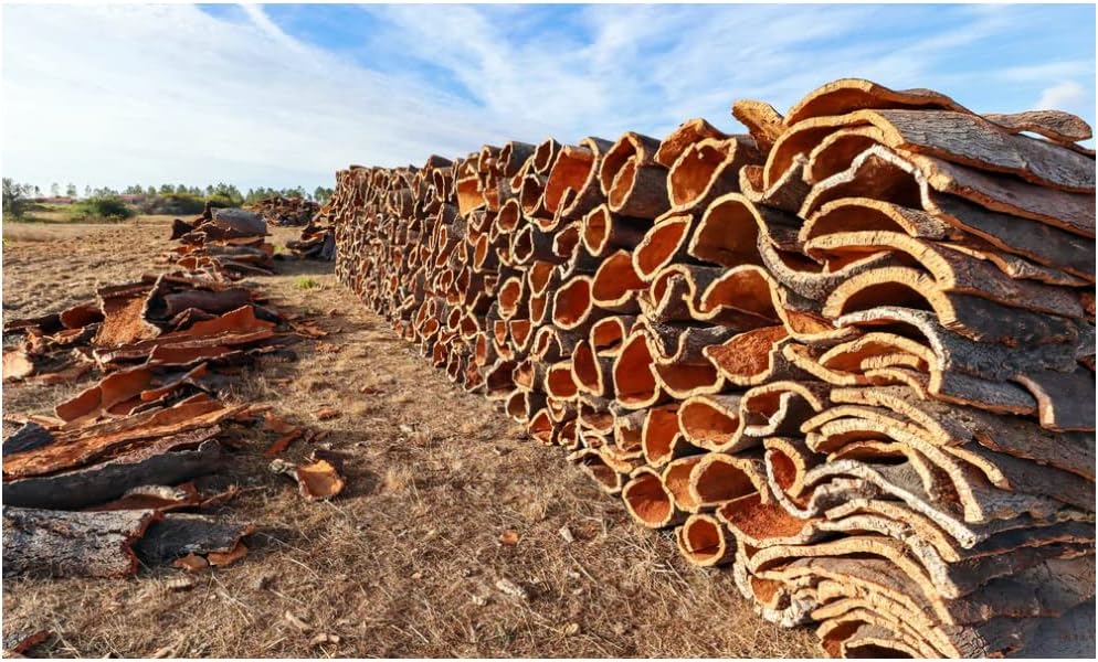 Five pound package layout of seller choice cork bark flats
