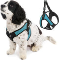 Gooby Escape Free Easy Fit Harness turquoise front view