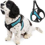 Gooby Escape Free Easy Fit Harness turquoise front view