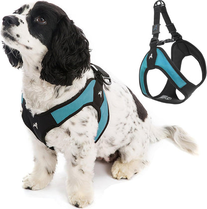 Gooby Escape Free Easy Fit Harness turquoise front view