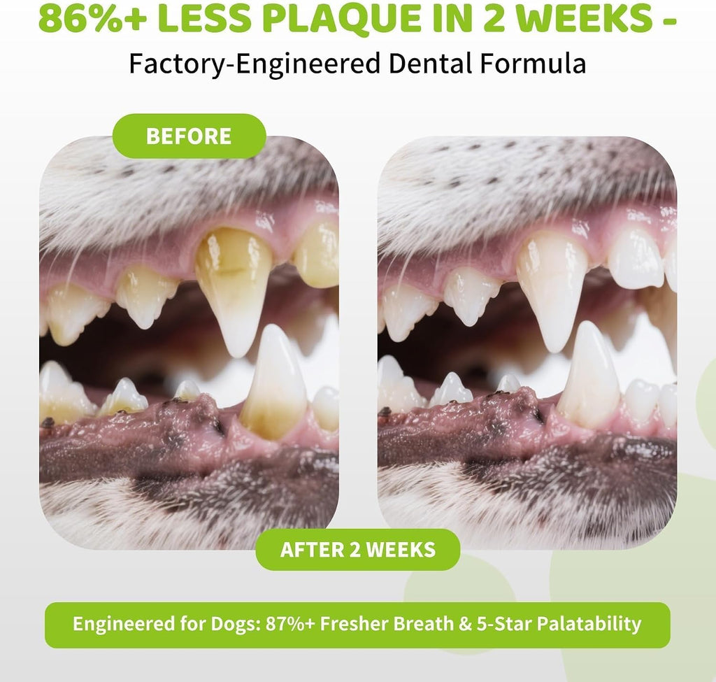 No brush dog tooth cleaning powder sprinkled over dry pet kibble for easy mealtime application