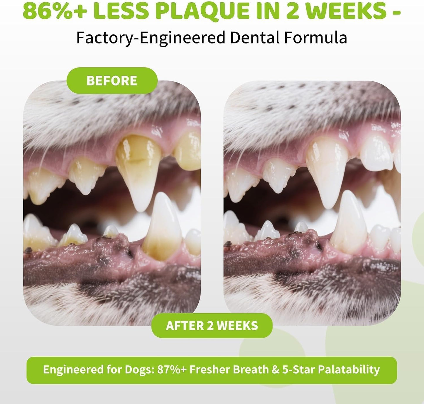 No brush dog tooth cleaning powder sprinkled over dry pet kibble for easy mealtime application