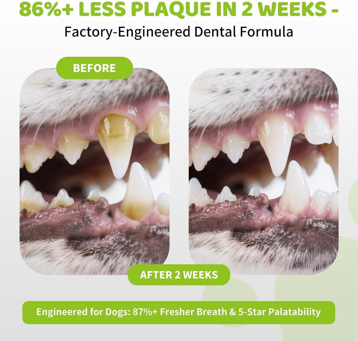 No brush dog tooth cleaning powder sprinkled over dry pet kibble for easy mealtime application