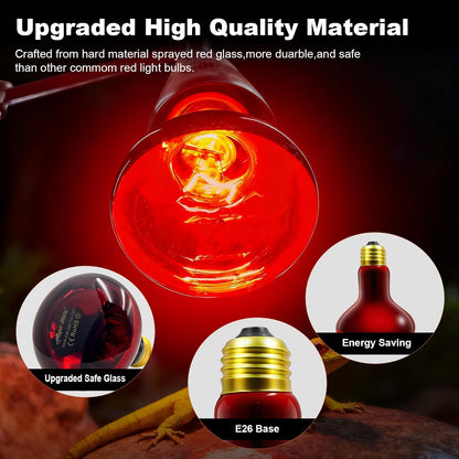 Wacool Terra infrared heat lamp inside a reptile enclosure setup