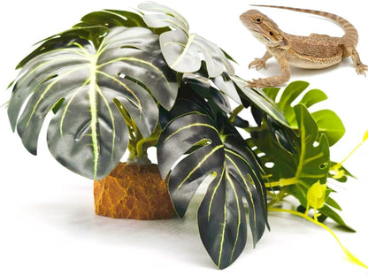 Detailed view of plant base for terrarium stability