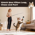 A variety of feather and crinkly paper refills included in the VavoPaw imported pet accessory set.