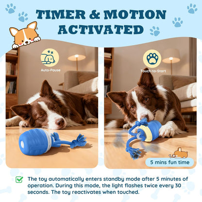 Blue automatic rolling ball toy for large dogs