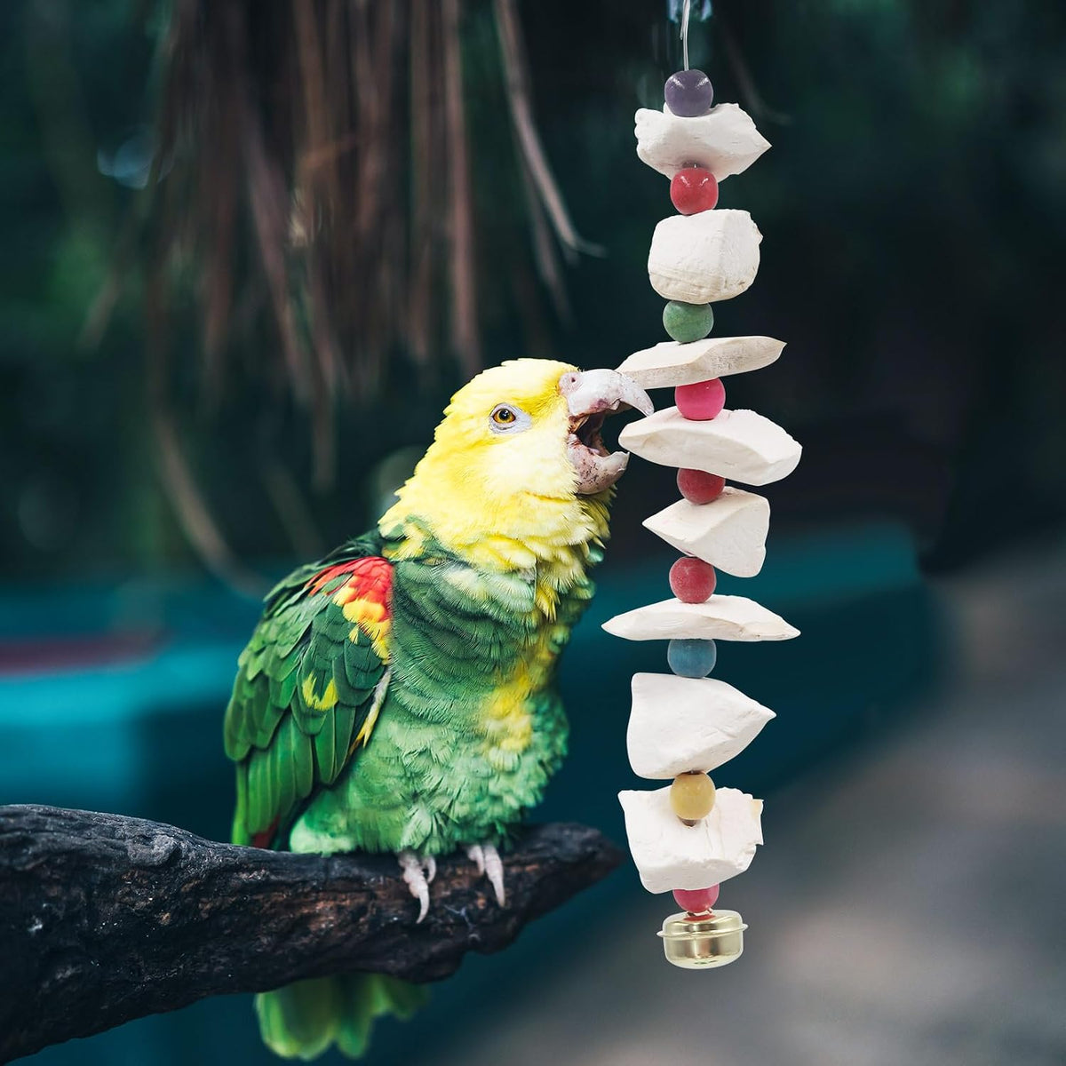 Two pack bird toy set with secure hanging clips