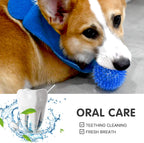 Full set of 6 Sharlovy interactive balls for dog training