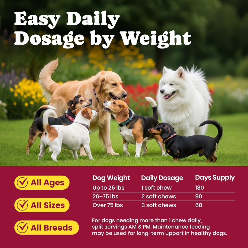 BuddyCheer premium imported USA pet health care product presentation