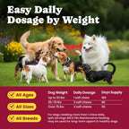 BuddyCheer premium imported USA pet health care product presentation
