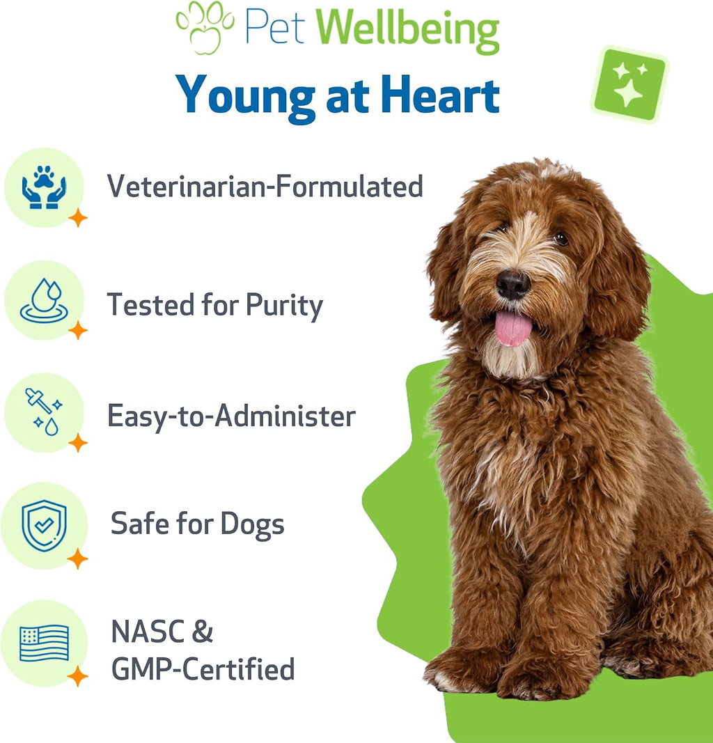 Bacon flavored Pet Wellbeing canine cardiovascular health liquid dropping into food.