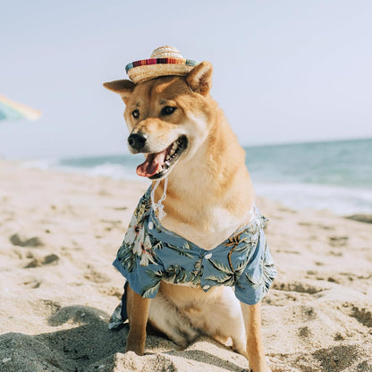 Adjustable drawstring detail on AWOCAN pet straw hat