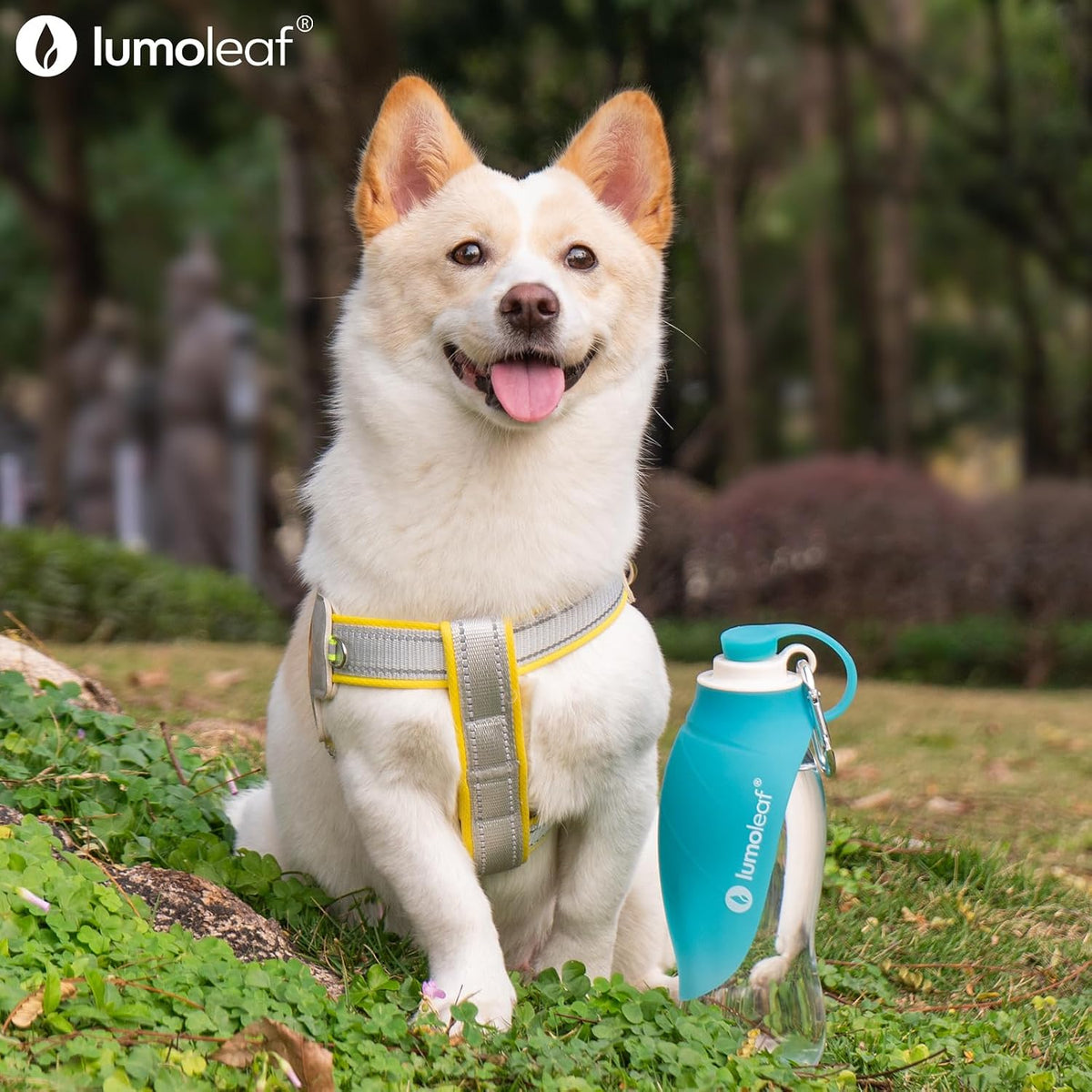 LumoLeaf lightweight twenty fluid ounce travel bottle with wrist strap