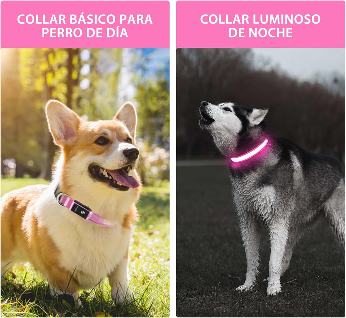 PcEoTllar waterproof dog collar color changing mode