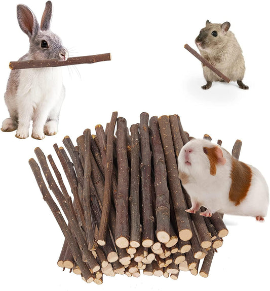 Petawi apple sticks molar wood treats front view packaging for small pet dental health