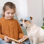 Dog wearing Symphonyw summer beach hat for sun protection