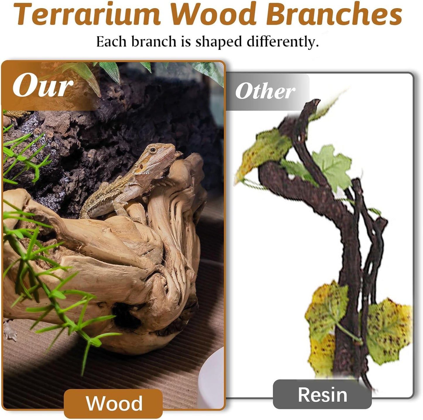 Apatal wood forest branch decor in a desert style reptile habitat