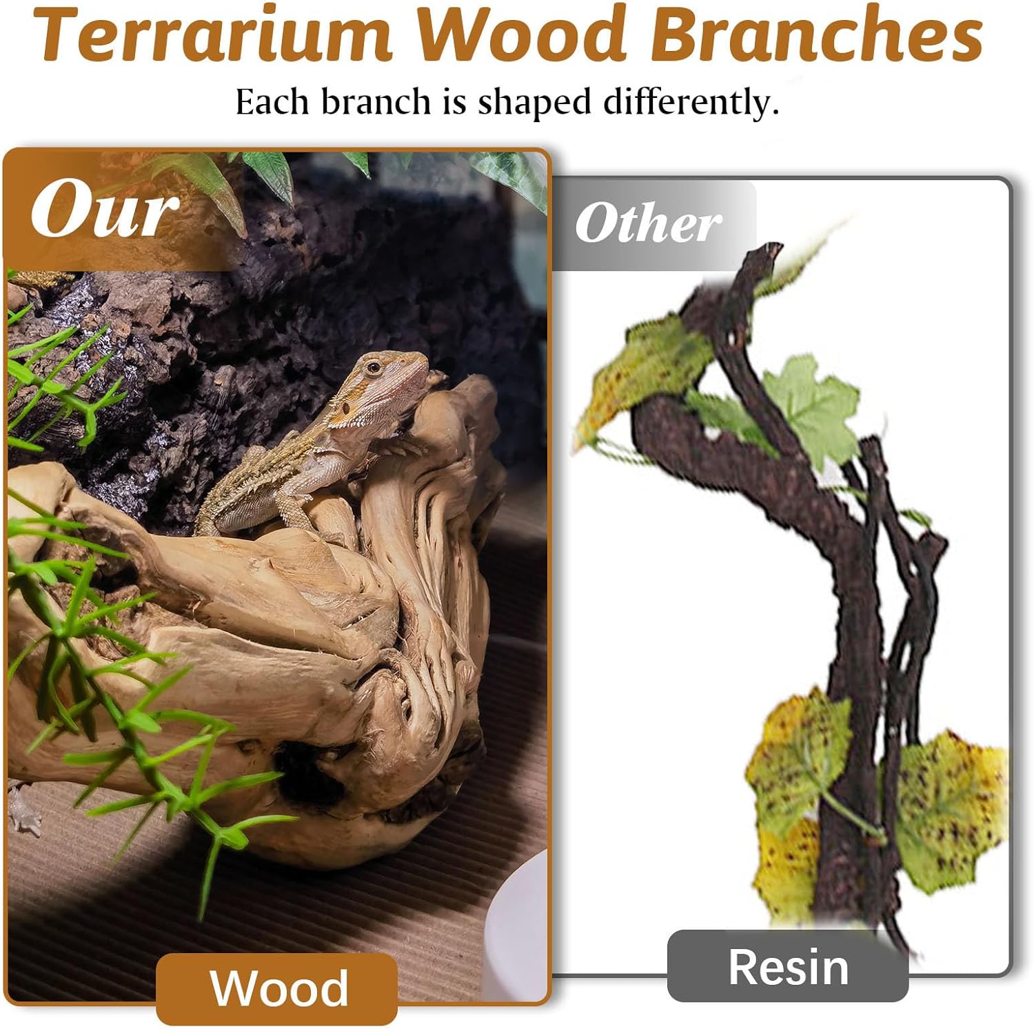 Apatal wood forest branch decor in a desert style reptile habitat