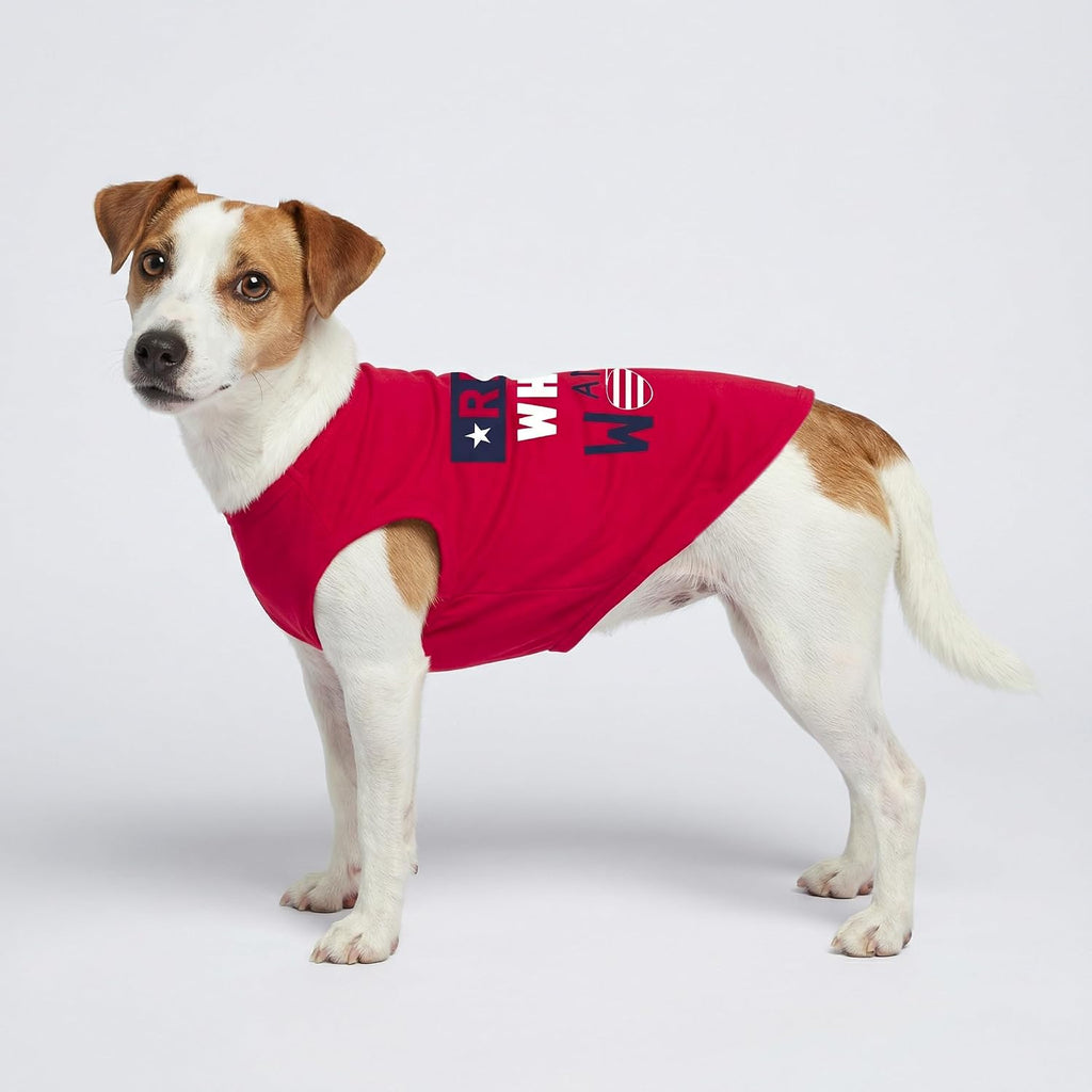 Back view of Fitwarm summer dog outfit on small breed