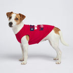 Back view of Fitwarm summer dog outfit on small breed