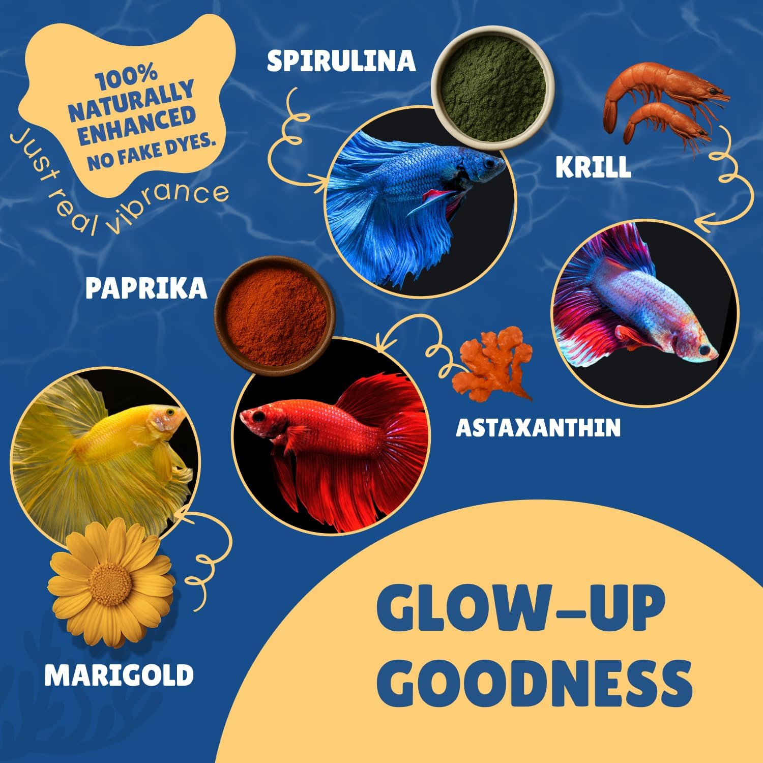 Perky Fins Betta Boost Pops premium one ounce container for freshwater carnivorous fish feeding.