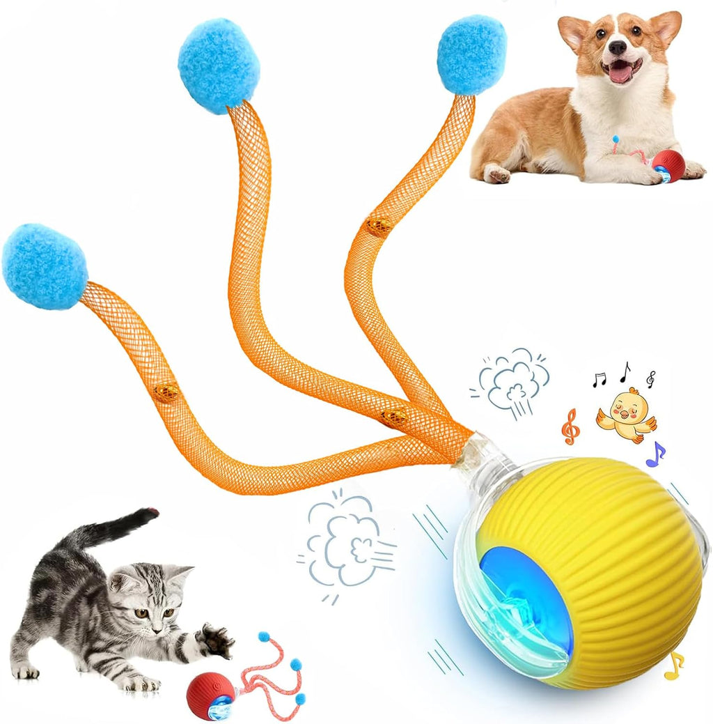 2 Packs Speed 2.0 Tail Interactive Cat Toys for Indoor Cats, Chirping & Motion Activate Cat Toy, Smart Kitten Rolling Ball Moving Ball Toys, Rechargeable Dog Cats Bal l for Enrichment Exercise - Image 11