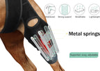 Side view of Lyderpet dog hind leg support brace on canine