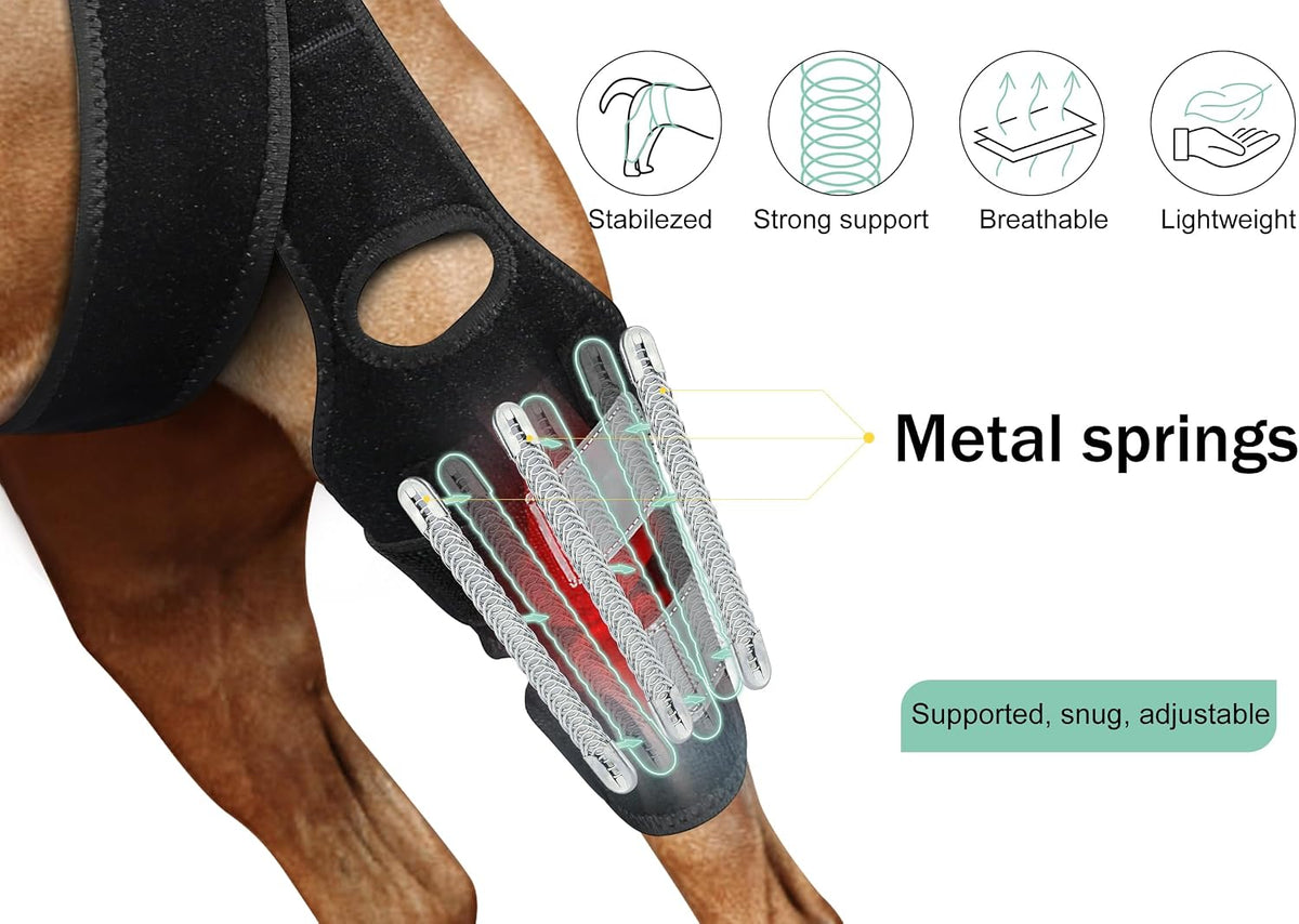 Side view of Lyderpet dog hind leg support brace on canine