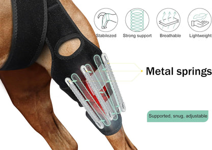 Side view of Lyderpet dog hind leg support brace on canine